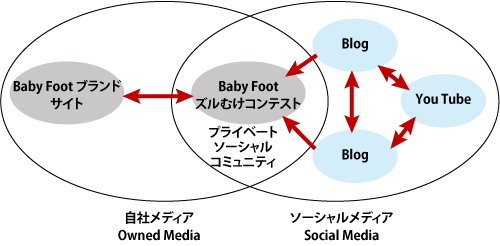 【図表5】自社メディアとソーシャルメディアの連携